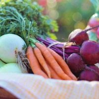 vegetable vegetable